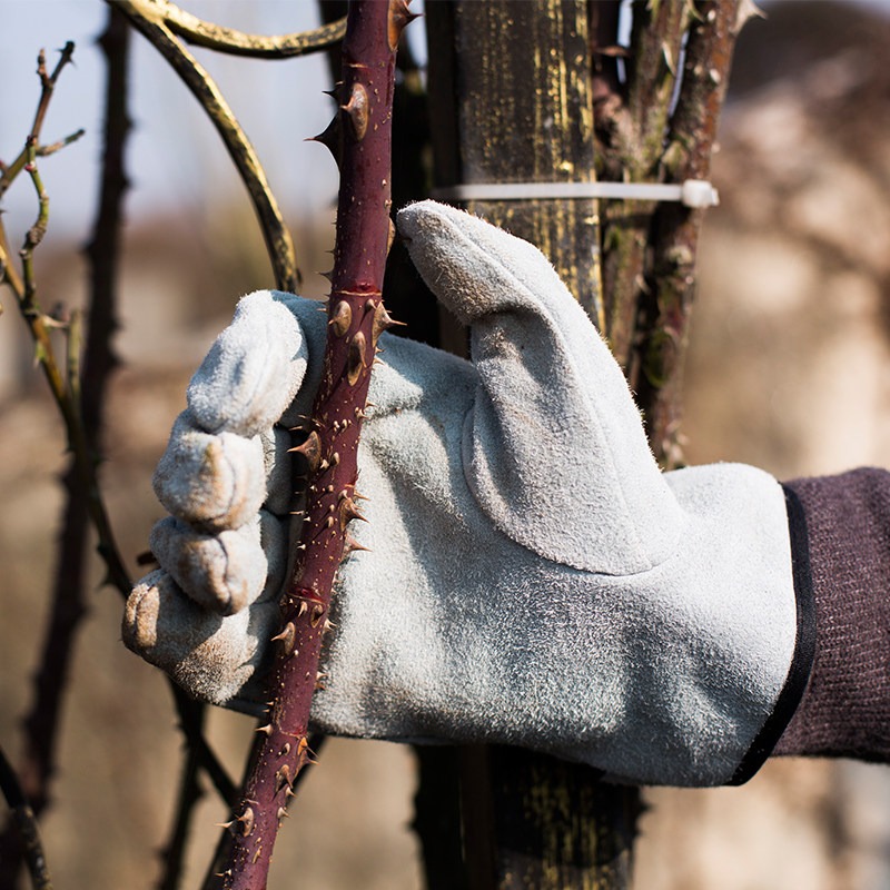 Een paar tuinhandschoenen, doo - Gardening Glove Waterproof recensie en prijs